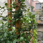 Zena Apartament